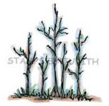 I-217-HK Birch Tree Cluster